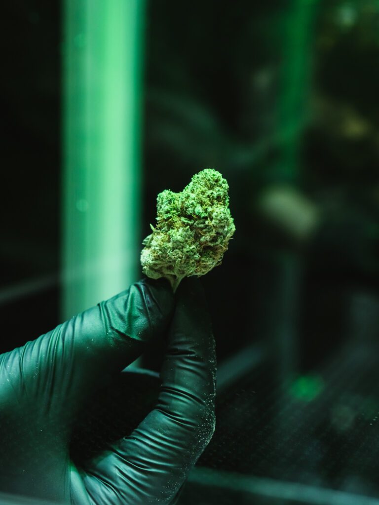 dispensary near